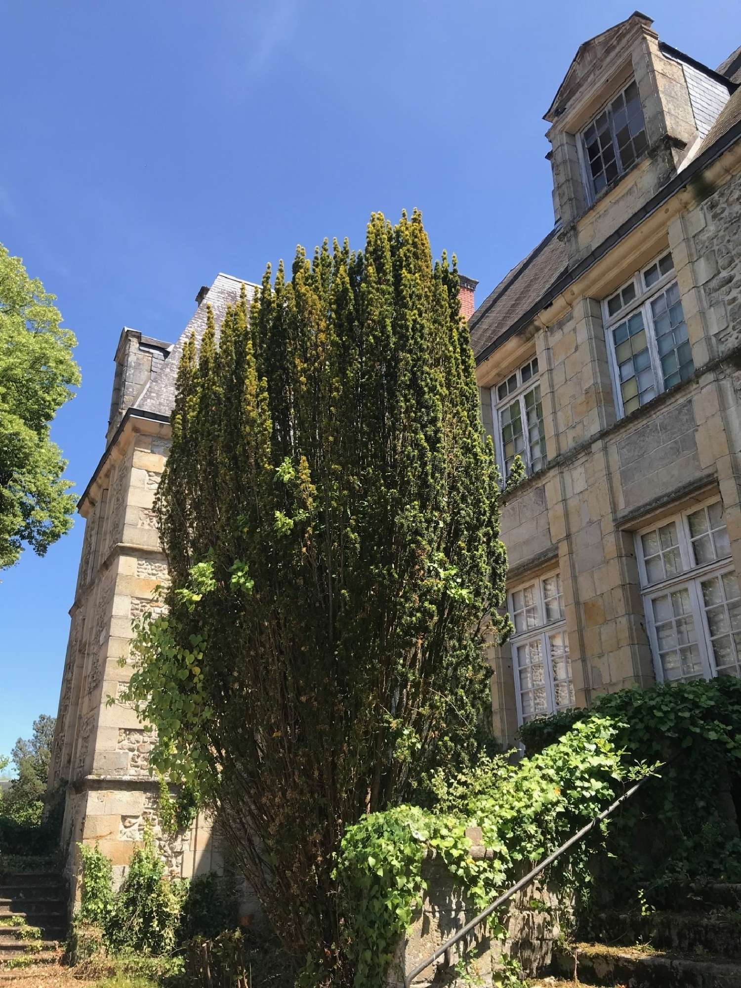  for sale castle Vierzon Cher 5