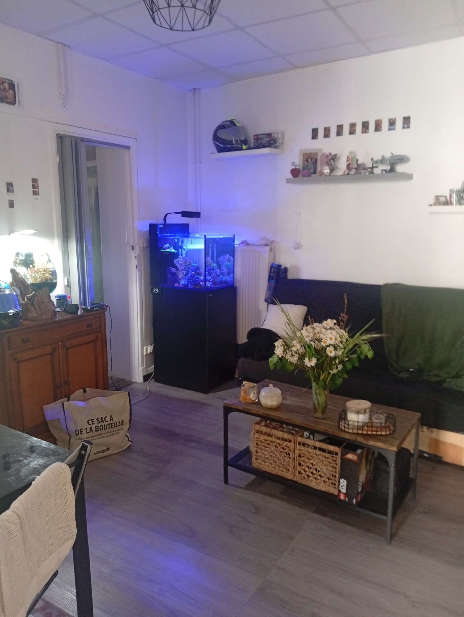 kaufen Stadthaus Pamiers Ariège 6