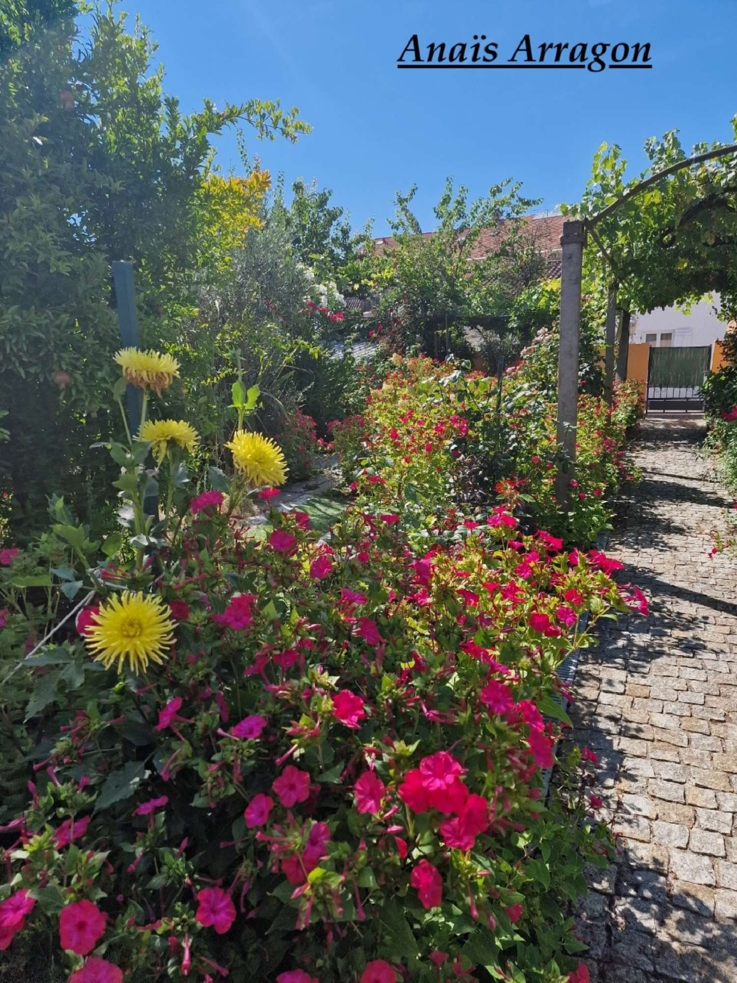  en venta casa urbana Sainte-Livrade-sur-Lot Lot-et-Garonne 3