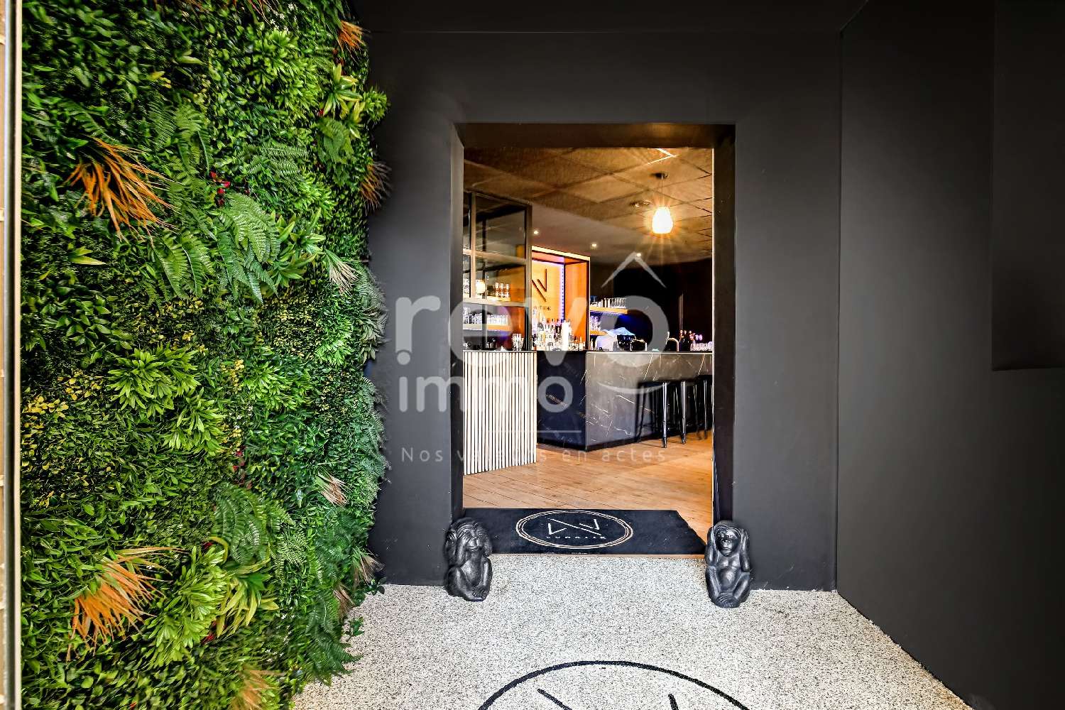  en venta local comercial Saint-André-de-Corcy Ain 3