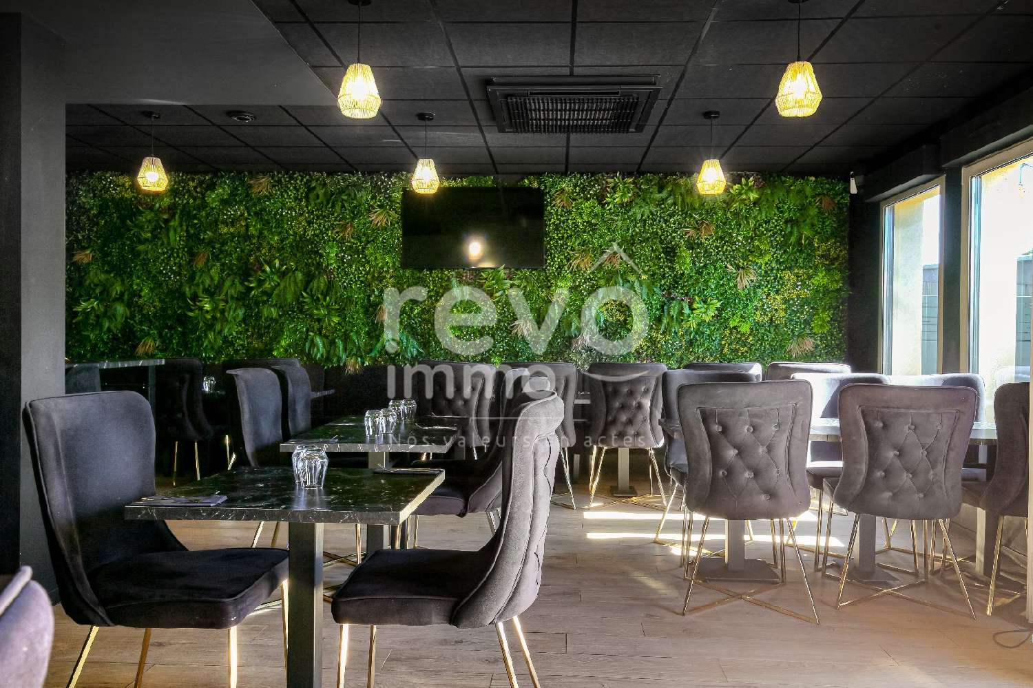  en venta local comercial Saint-André-de-Corcy Ain 4