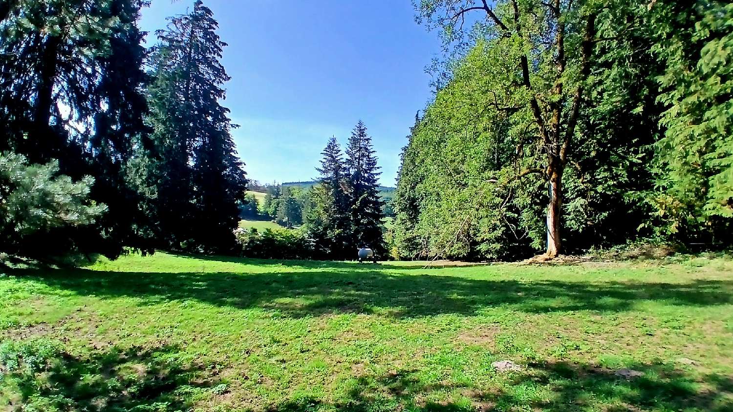 à vendre maison indépendant Lacaune Tarn 3