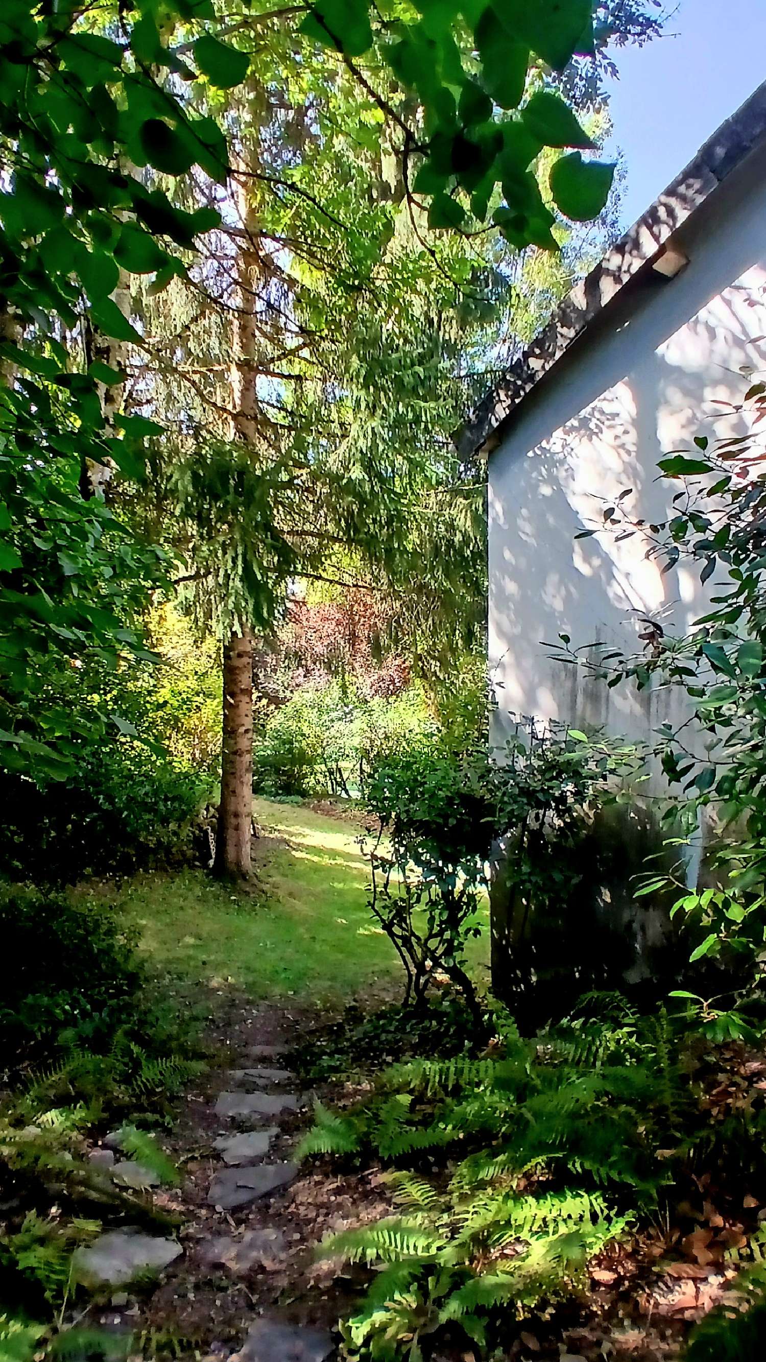 à vendre maison indépendant Lacaune Tarn 5