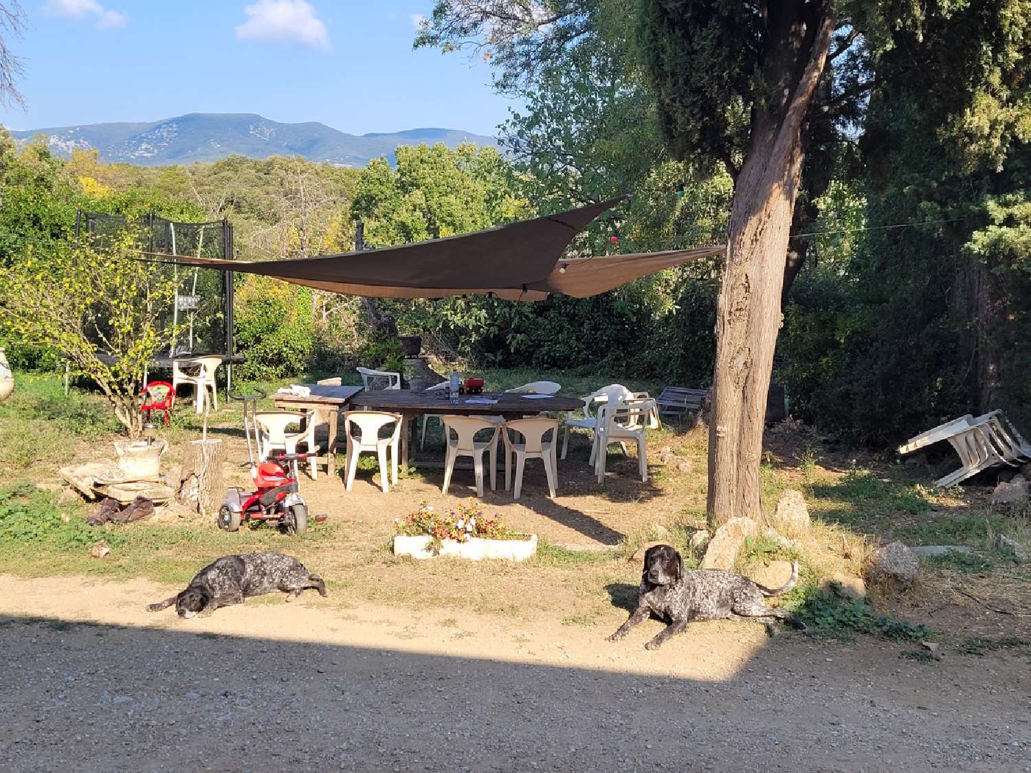 kaufen Freistehend Saint-Geniès-de-Fontedit Hérault 7