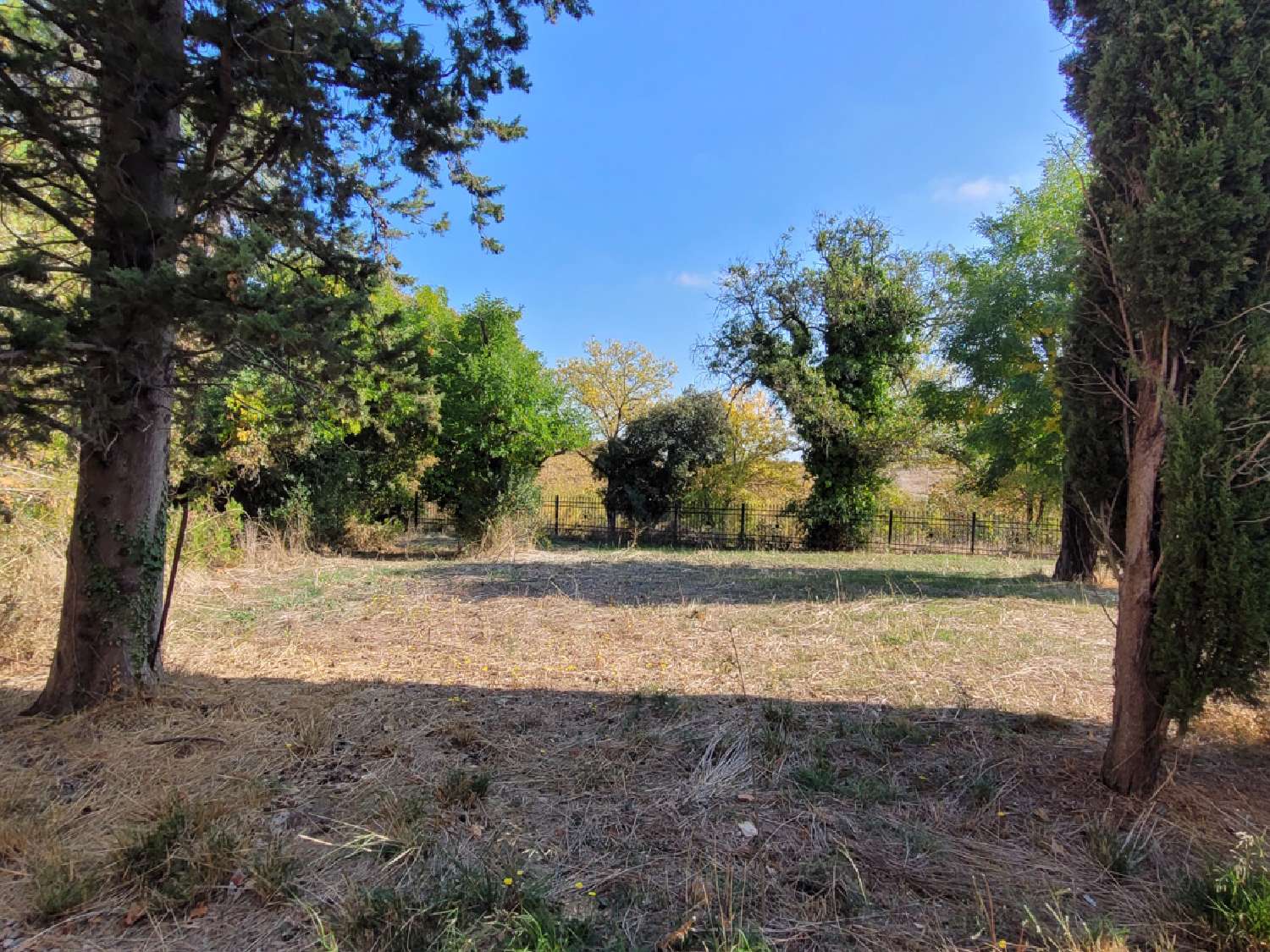 kaufen Freistehend Saint-Geniès-de-Fontedit Hérault 8