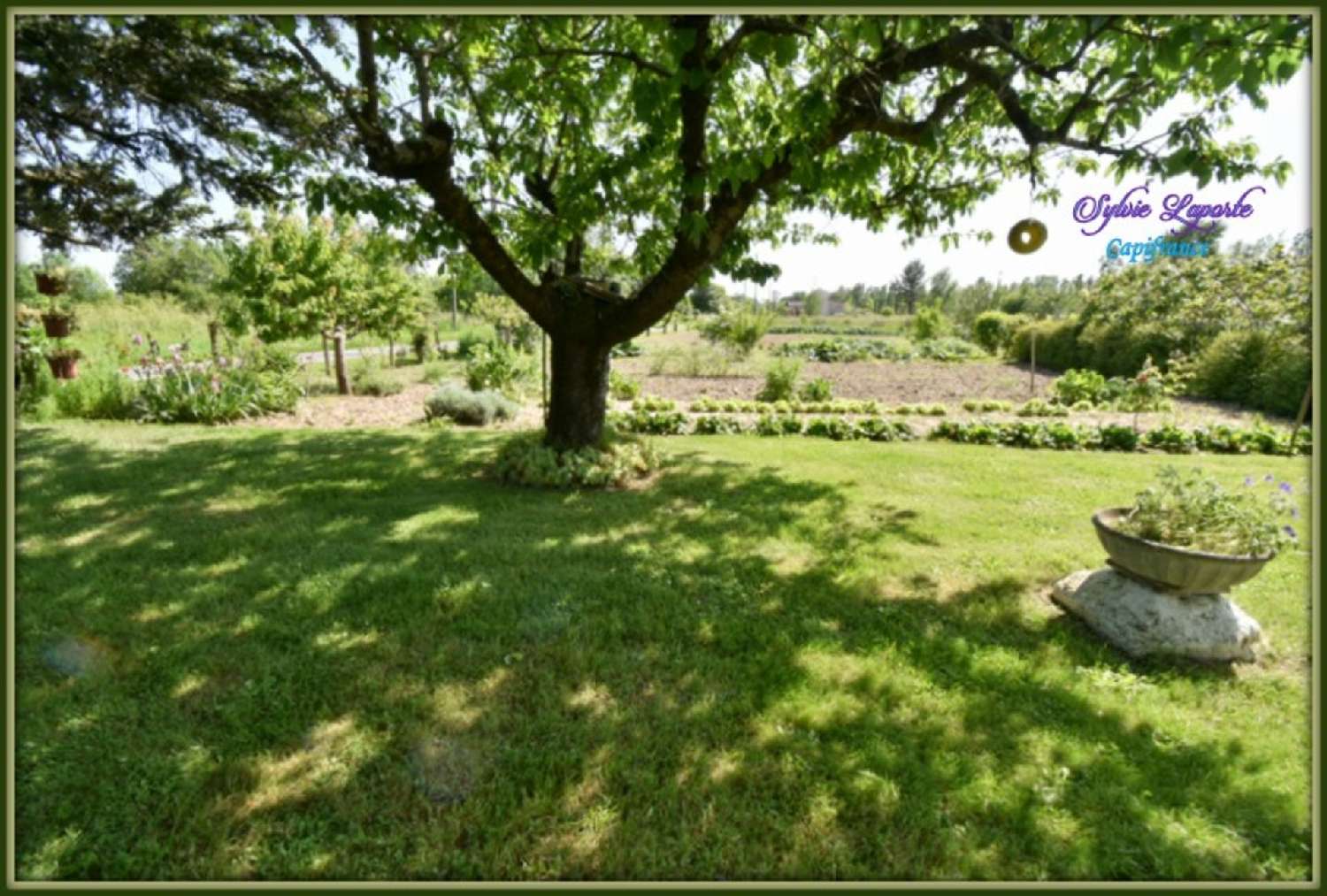 en venta finca rústica Astaffort Lot-et-Garonne 8