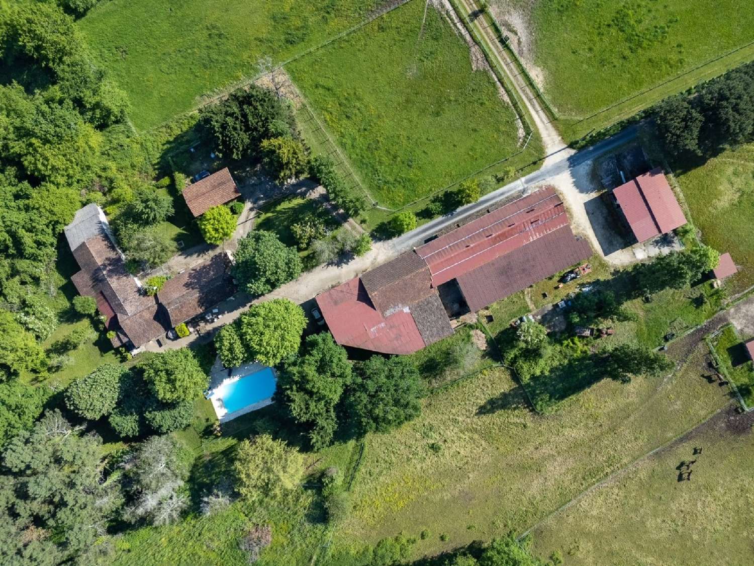 for sale estate Bergerac Dordogne 3