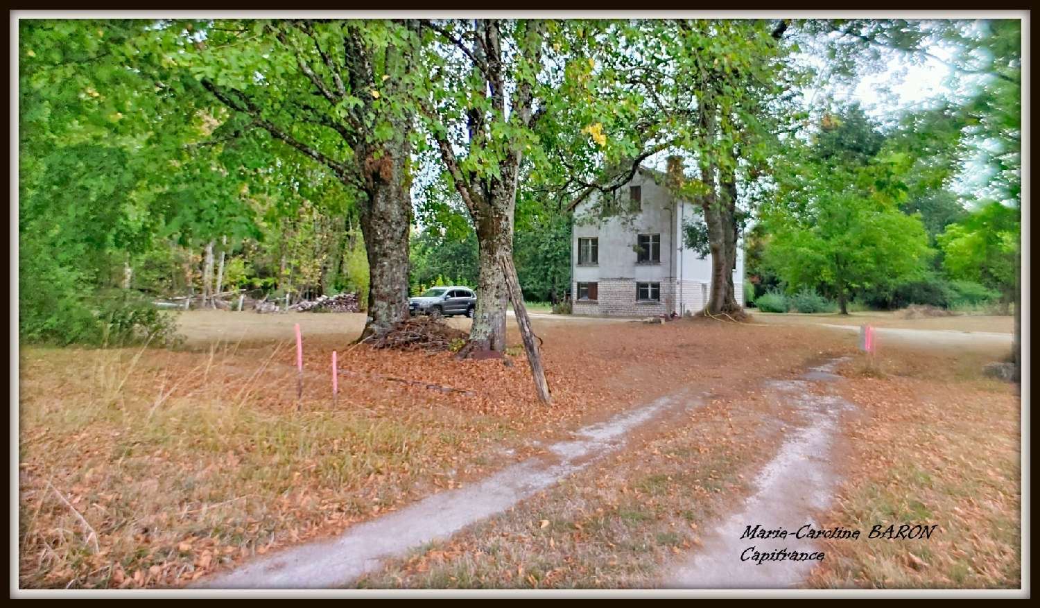 en venta finca rústica Buzançais Indre 3