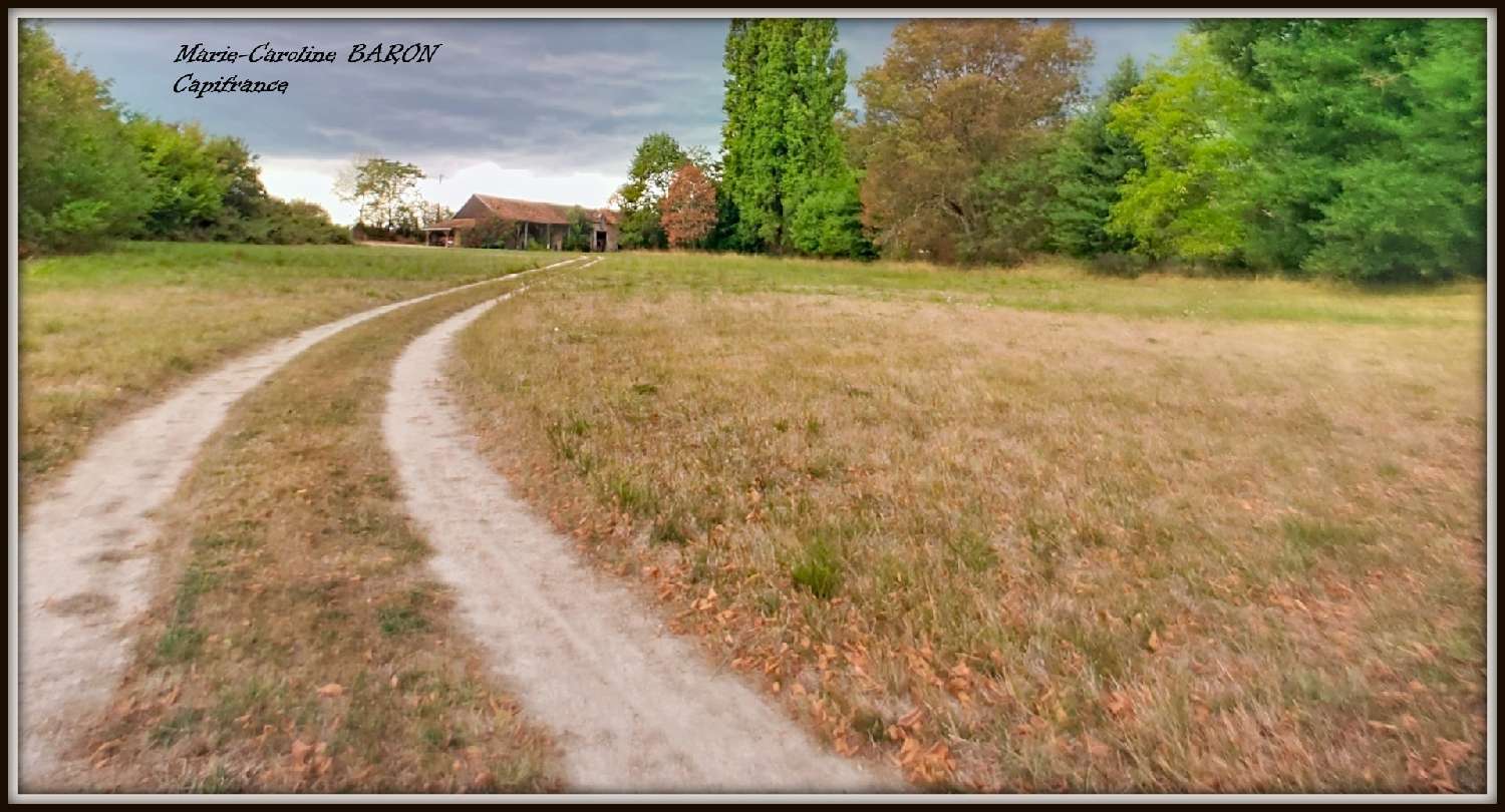 en venta finca rústica Buzançais Indre 6