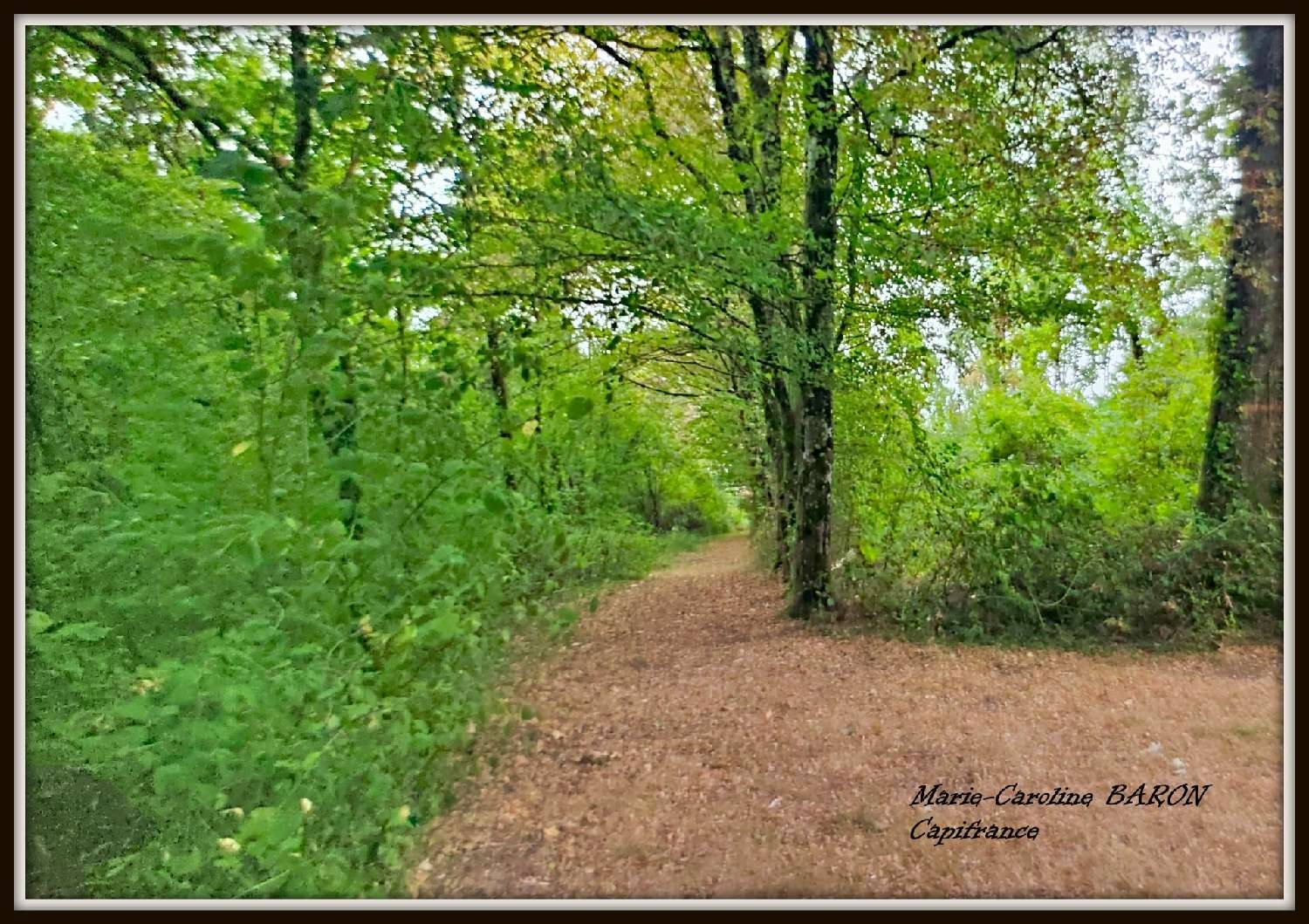 en venta finca rústica Buzançais Indre 7