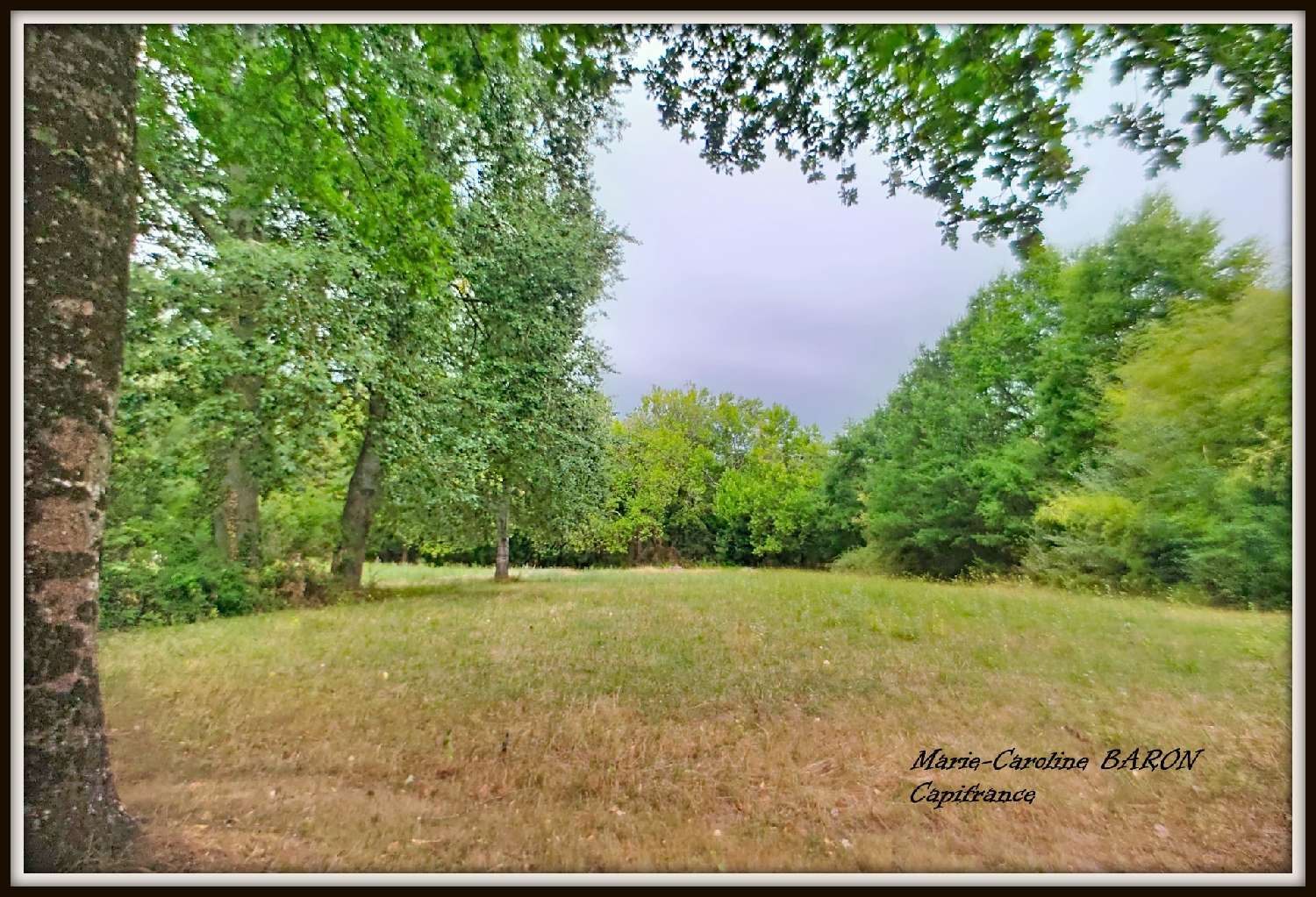 en venta finca rústica Buzançais Indre 8