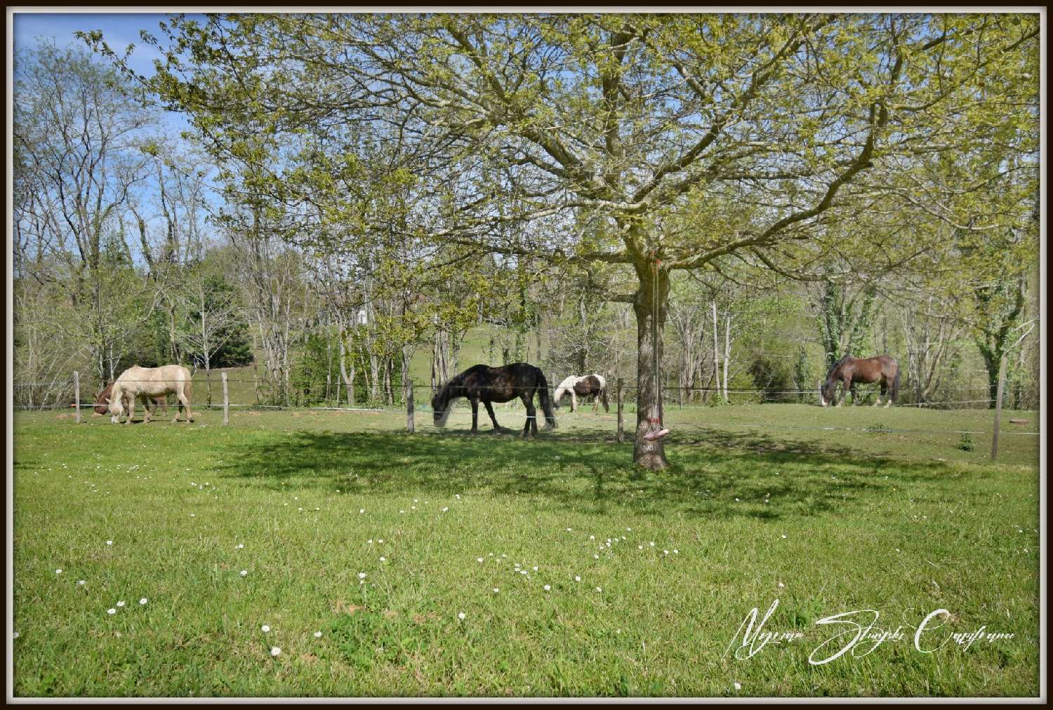 en venta finca rústica Capbreton Landes 2
