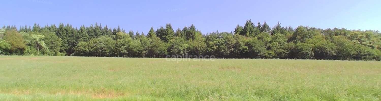 for sale estate Giry Nièvre 1