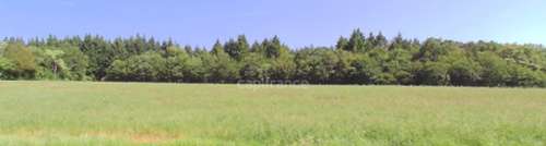 Giry Nièvre estate foto 7417296