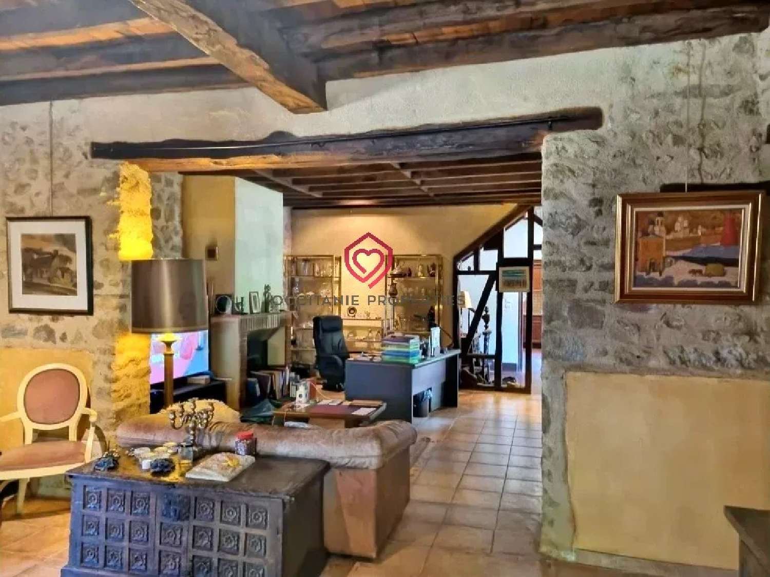 à vendre propriété Mirande Gers 2