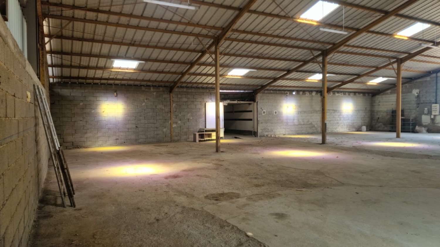  for sale estate Saint-Cirice Tarn-et-Garonne 2
