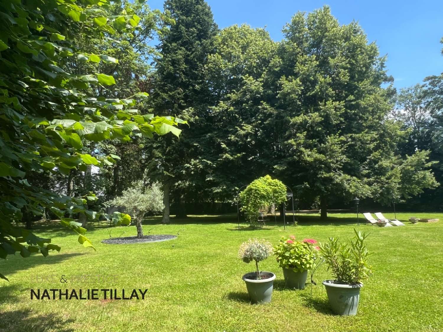  en venta finca rústica Saint-Jean-le-Blanc Loiret 7