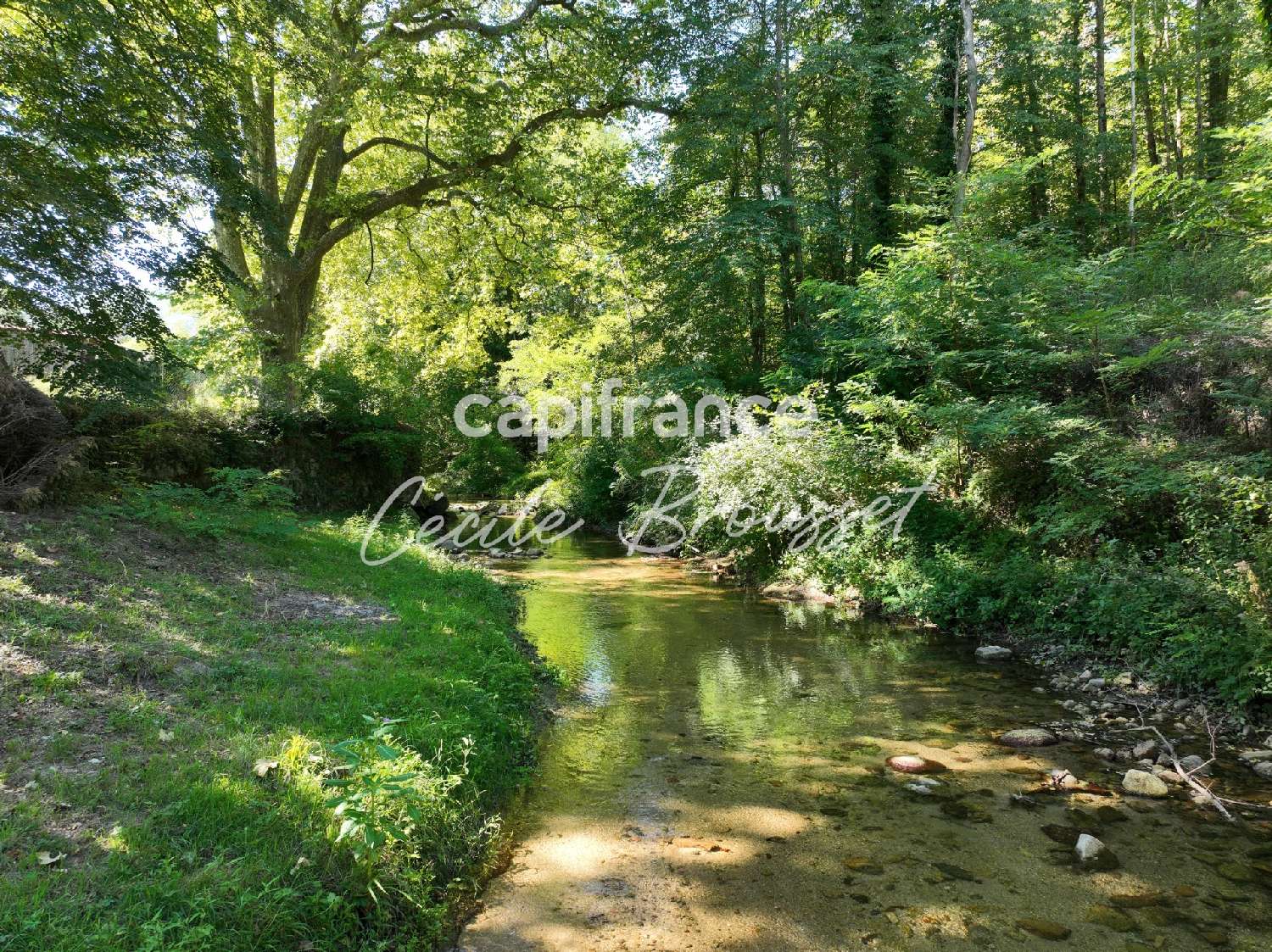 en venta finca rústica Saint-Laurent-de-Cerdans Pirineo Oriental 4