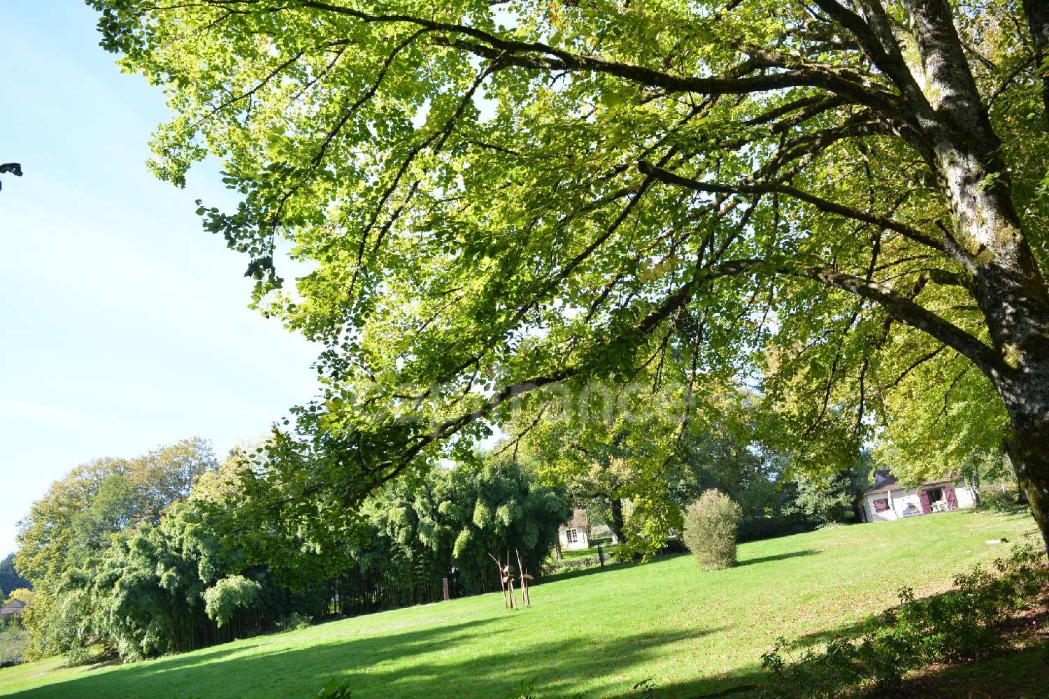  en venta finca rústica Saint-Saulge Nièvre 3