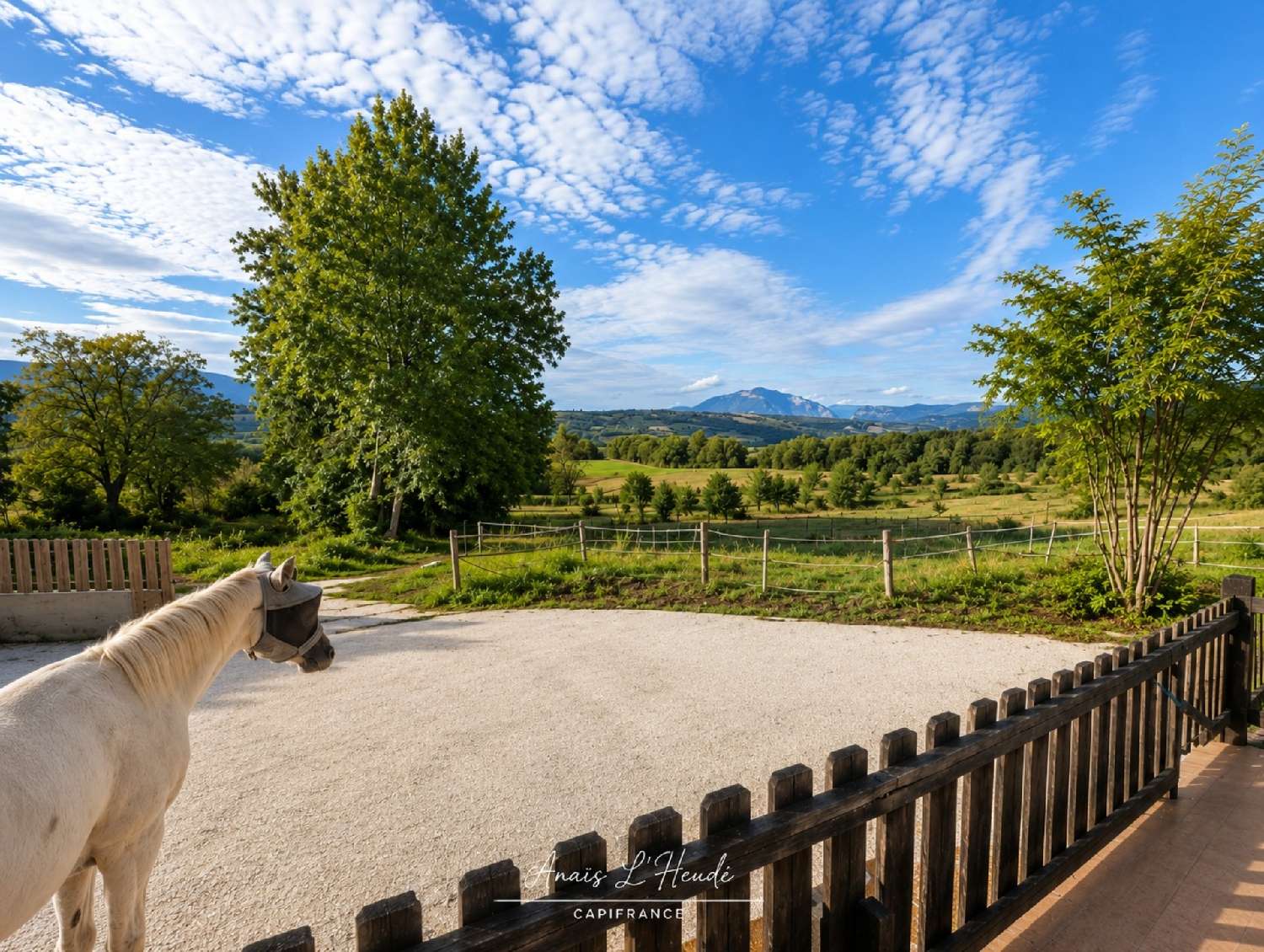 kaufen Landgut Seyssel Haute-Savoie 3