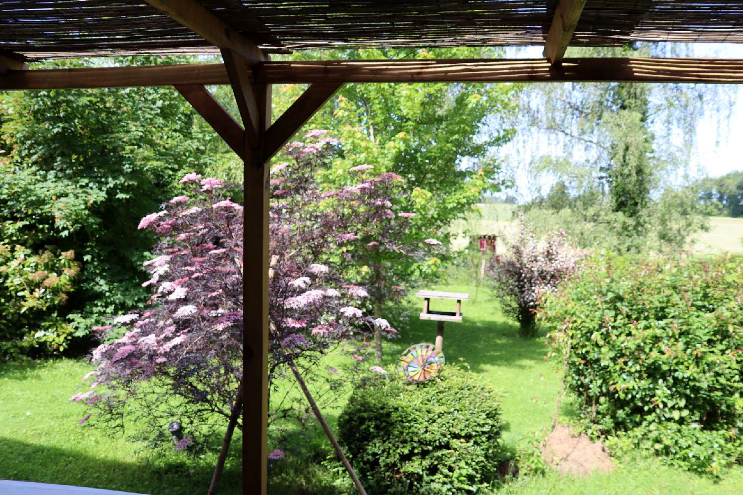 for sale farm Curciat-Dongalon Ain 4
