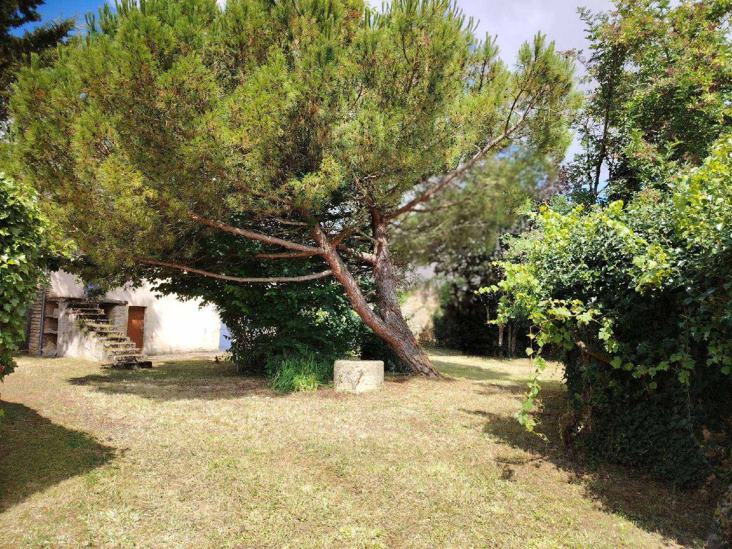 à vendre ferme Irais Deux-Sèvres 1