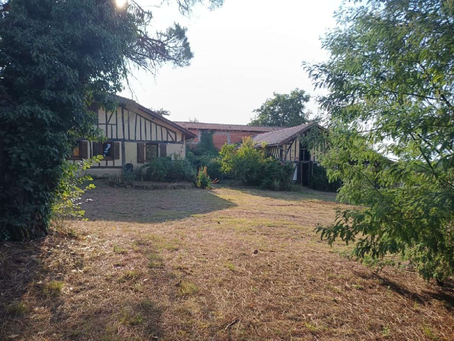kaufen Bauernhof Le Houga Gers 3