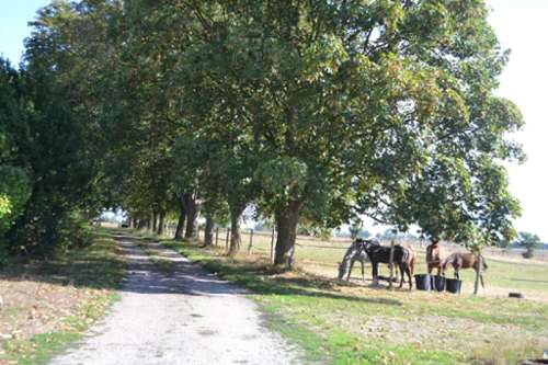 Montreuil-l'Argillé Eure farm foto 7402388