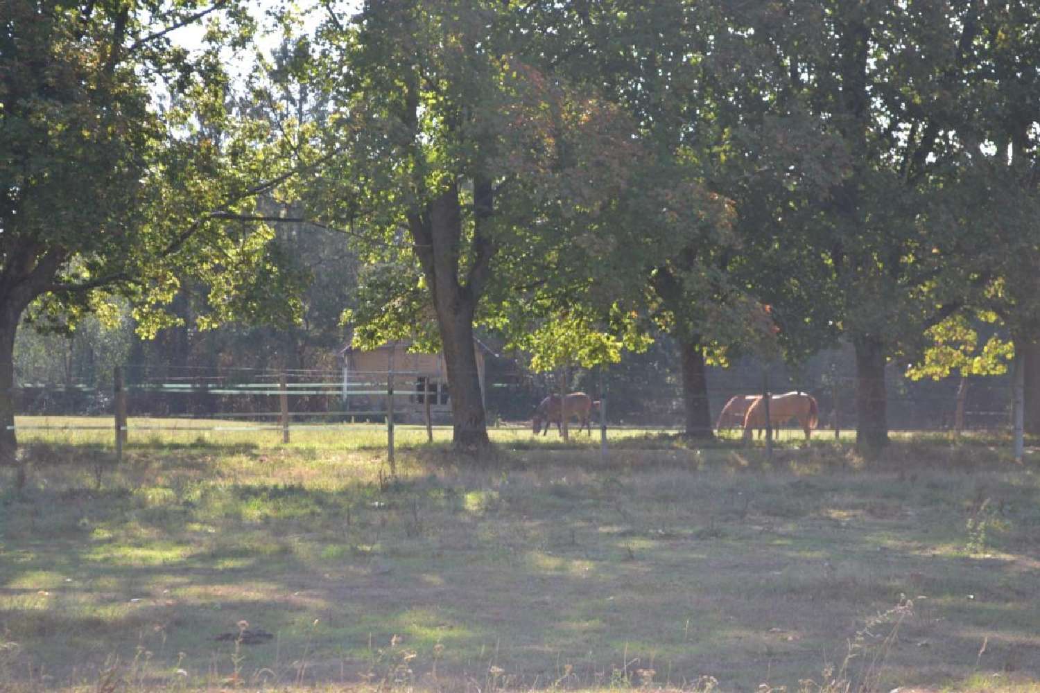 for sale farm Montreuil-l'Argillé Eure 2