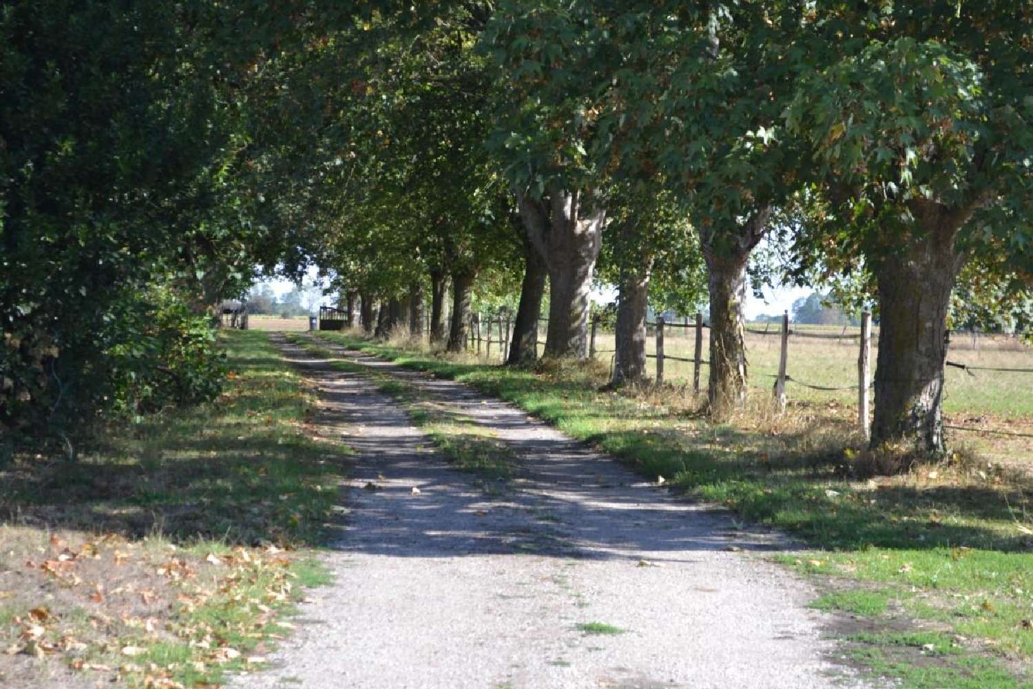 for sale farm Montreuil-l'Argillé Eure 3