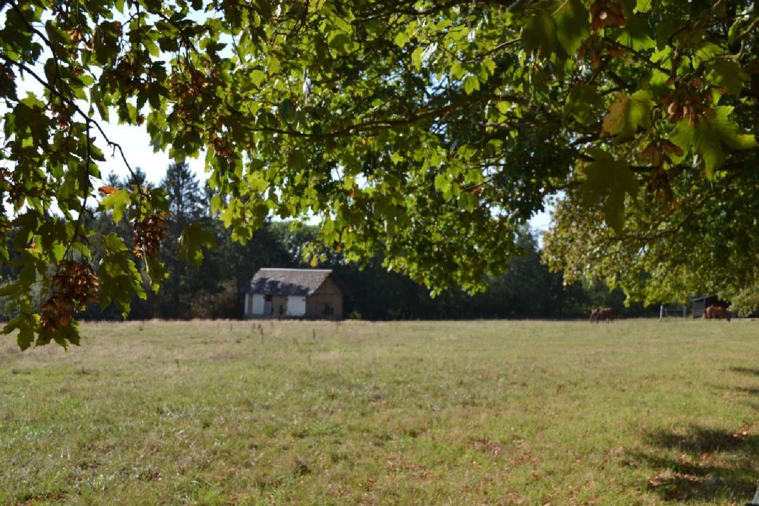 for sale farm Montreuil-l'Argillé Eure 6