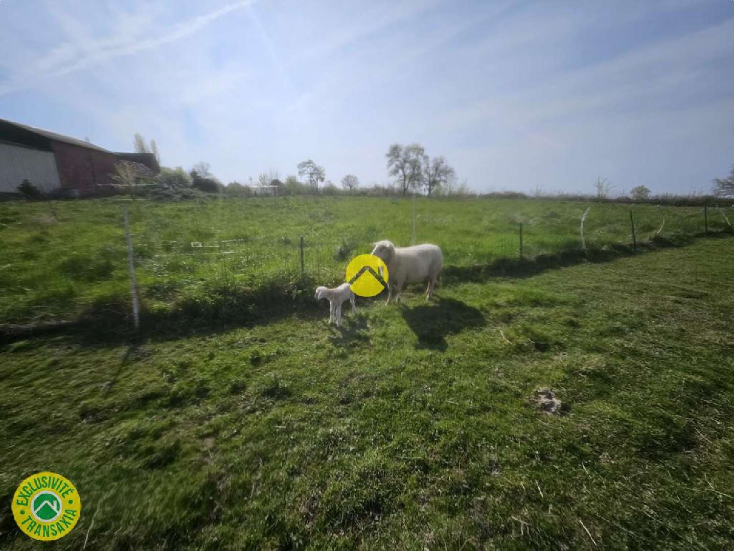 à vendre ferme Nérondes Cher 4
