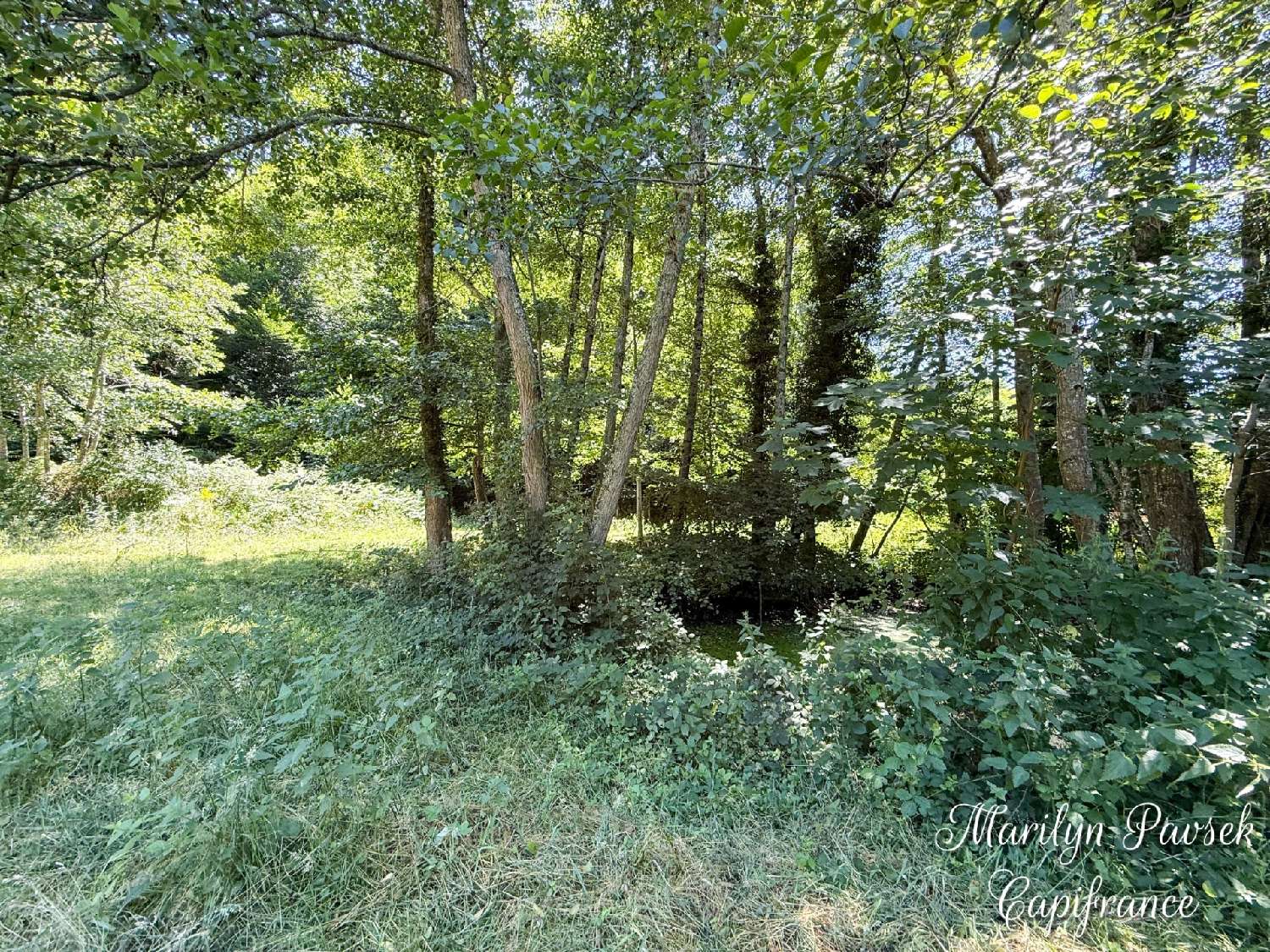 à vendre ferme Sermentizon Puy-de-Dôme 8