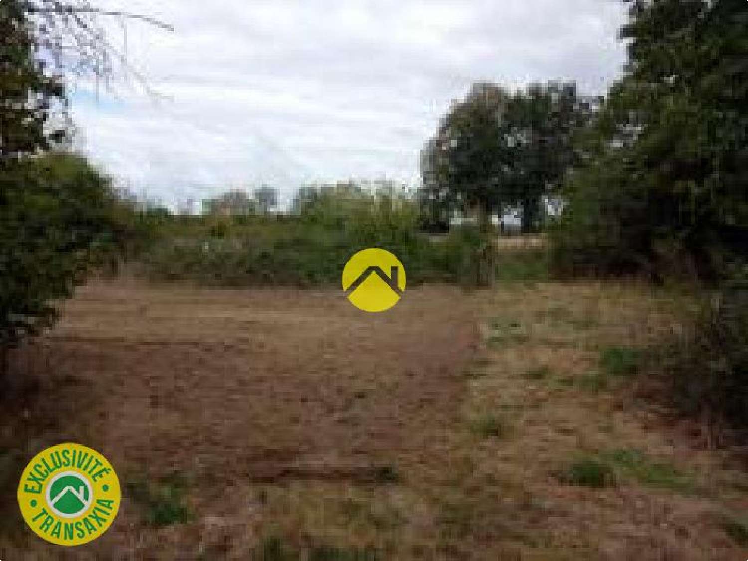  à vendre ferme Vailly-sur-Sauldre Cher 7