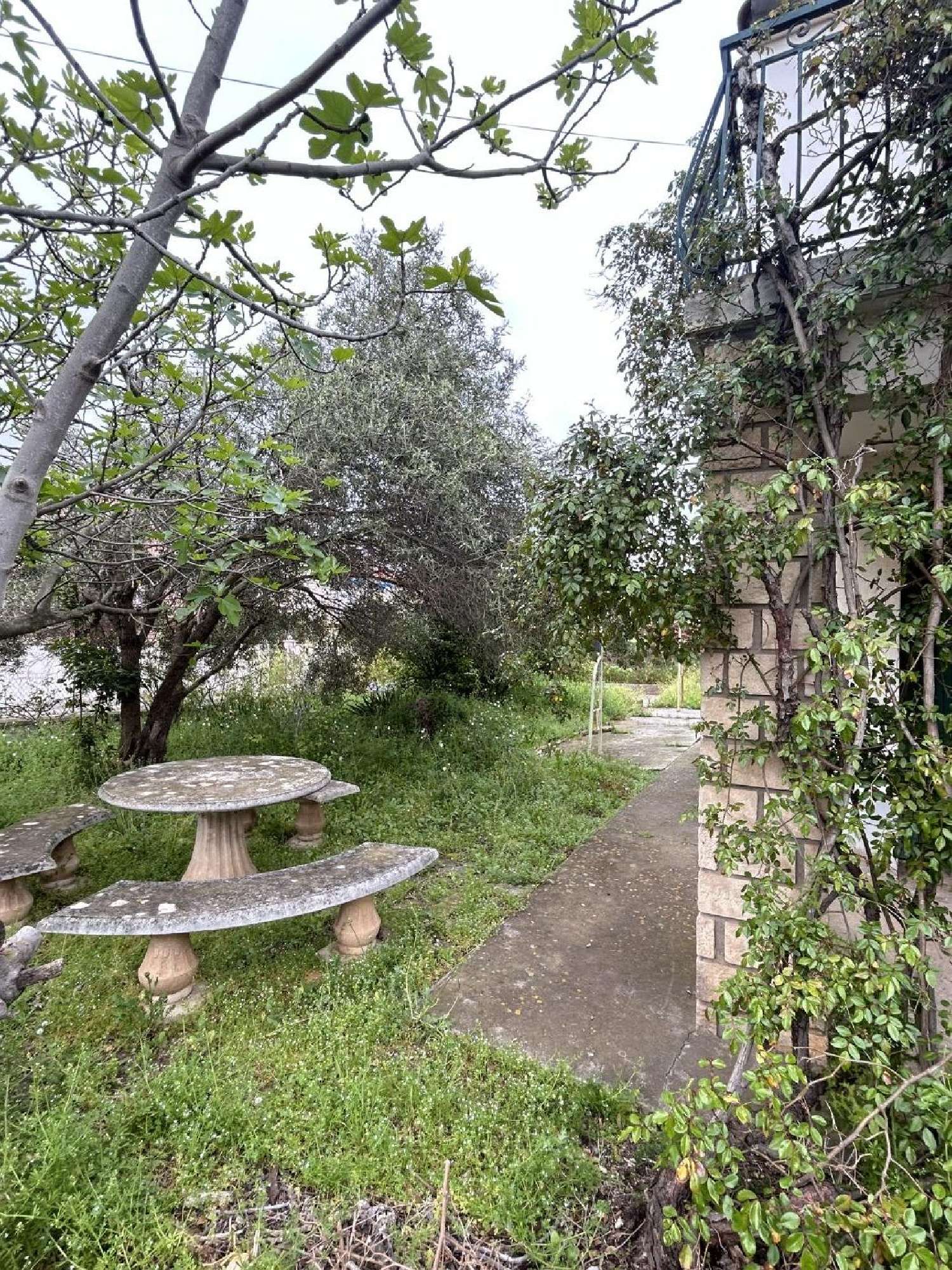  te koop huis Agde Hérault 4