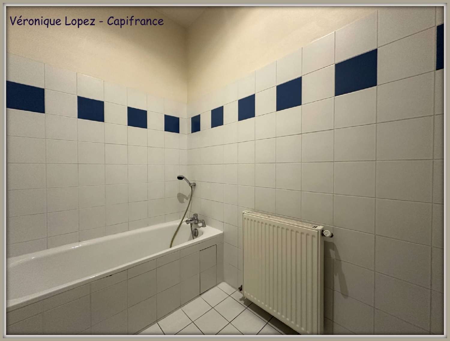 te koop huis Agen Lot-et-Garonne 5