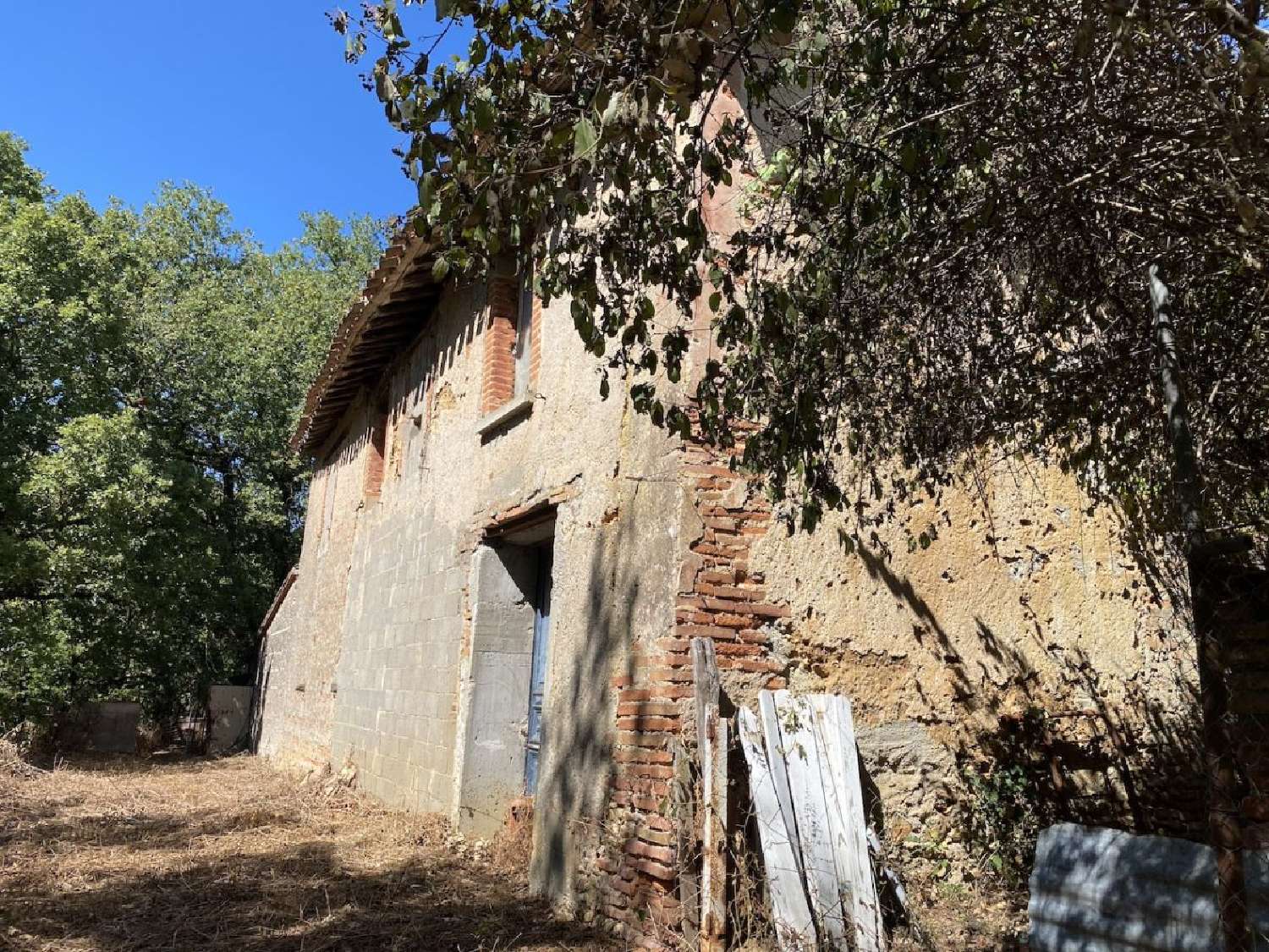 kaufen Haus Albi Tarn 3