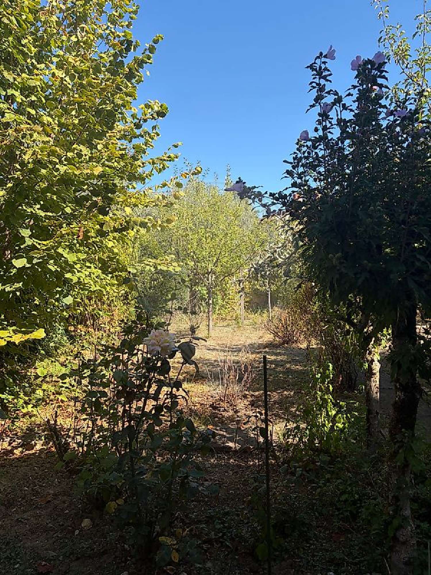 te koop huis Albi Tarn 2