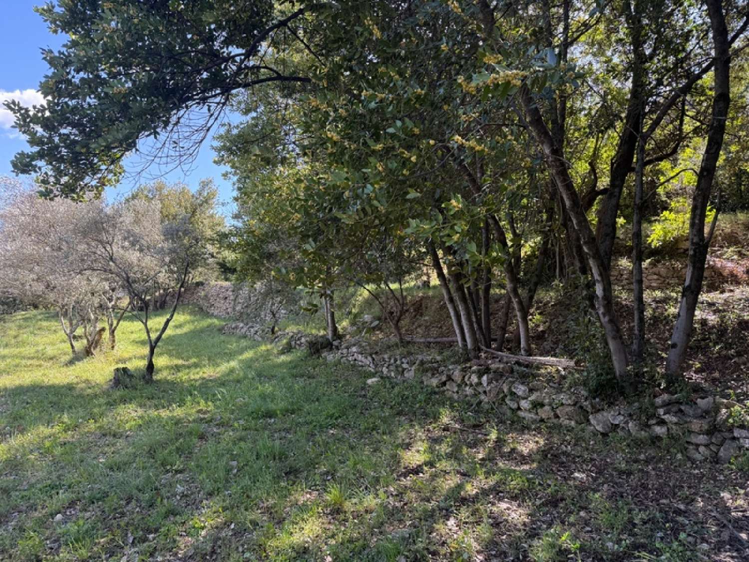 à vendre maison Alès Gard 4