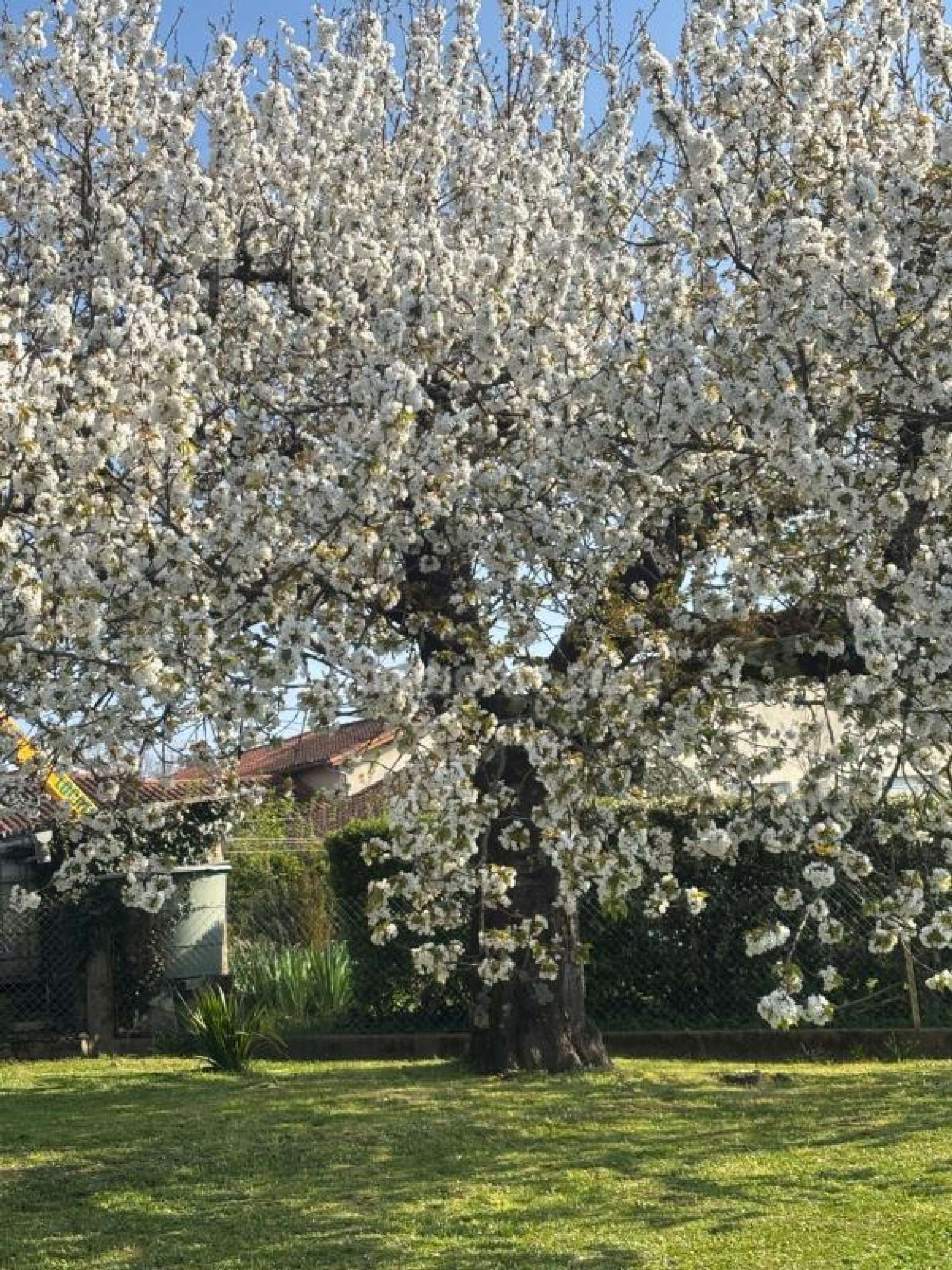  kaufen Haus Angoulême Charente 7