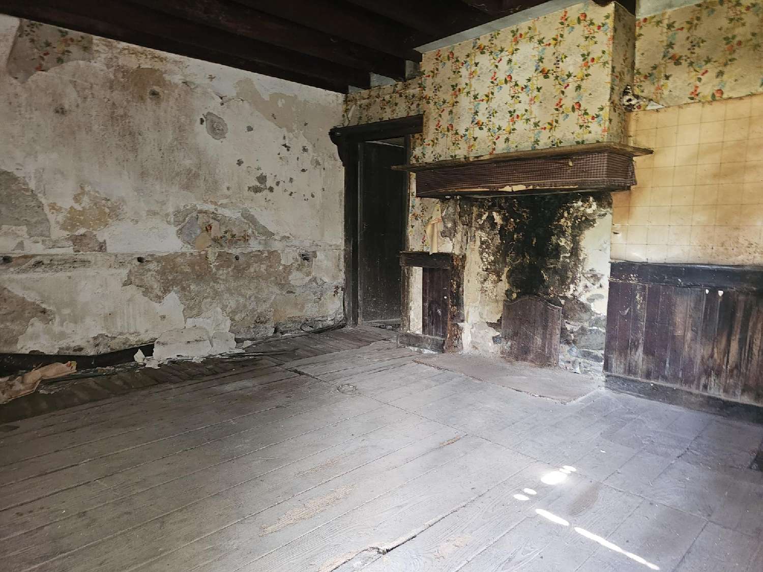 for sale house Antichan-de-Frontignes Haute-Garonne 5