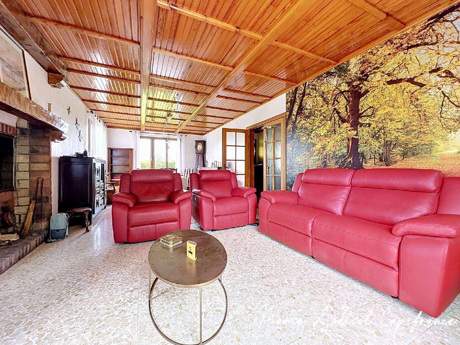 à vendre maison Augerville-la-Rivière Loiret 8