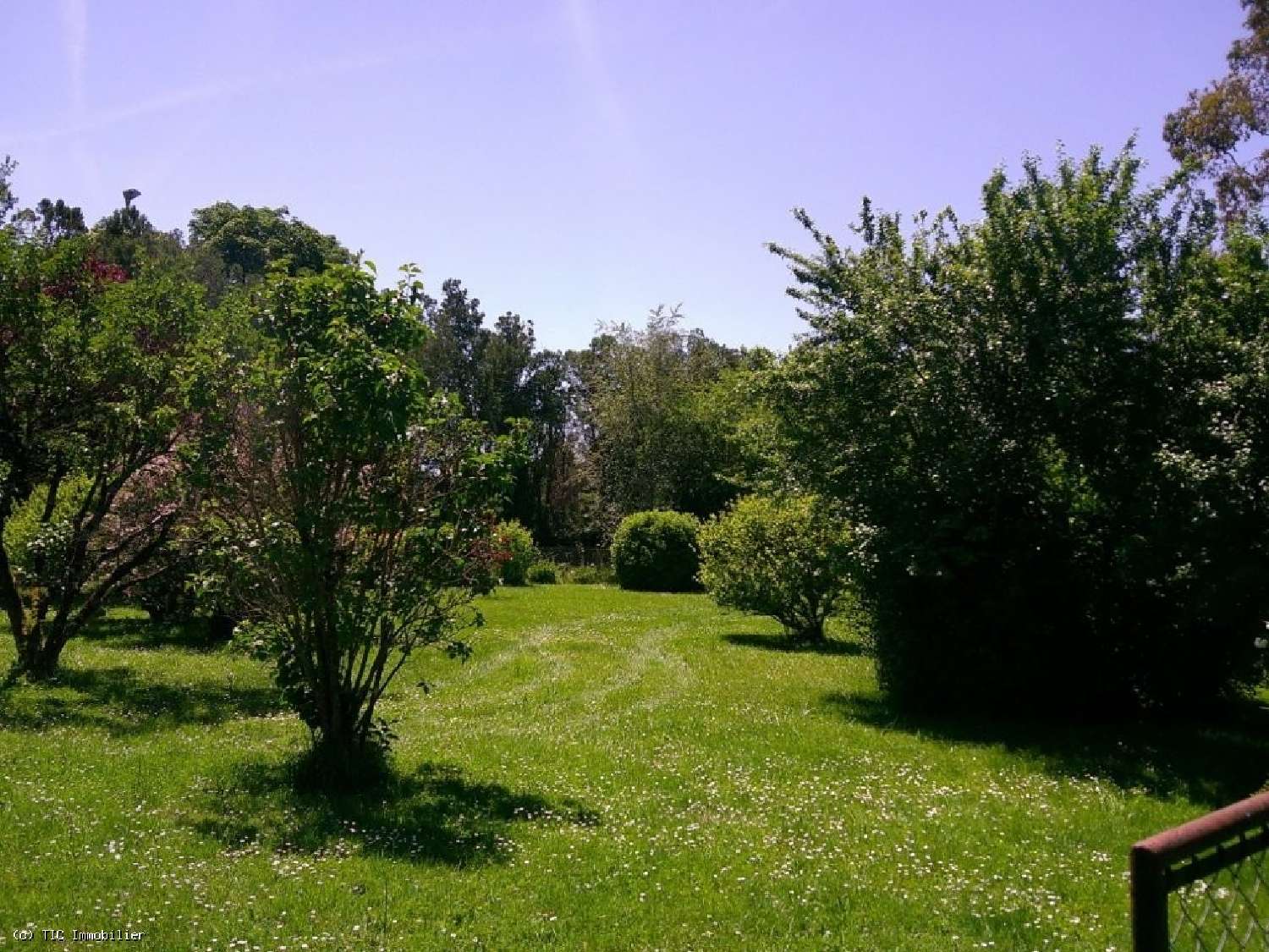 for sale house Availles-Limouzine Vienne 5