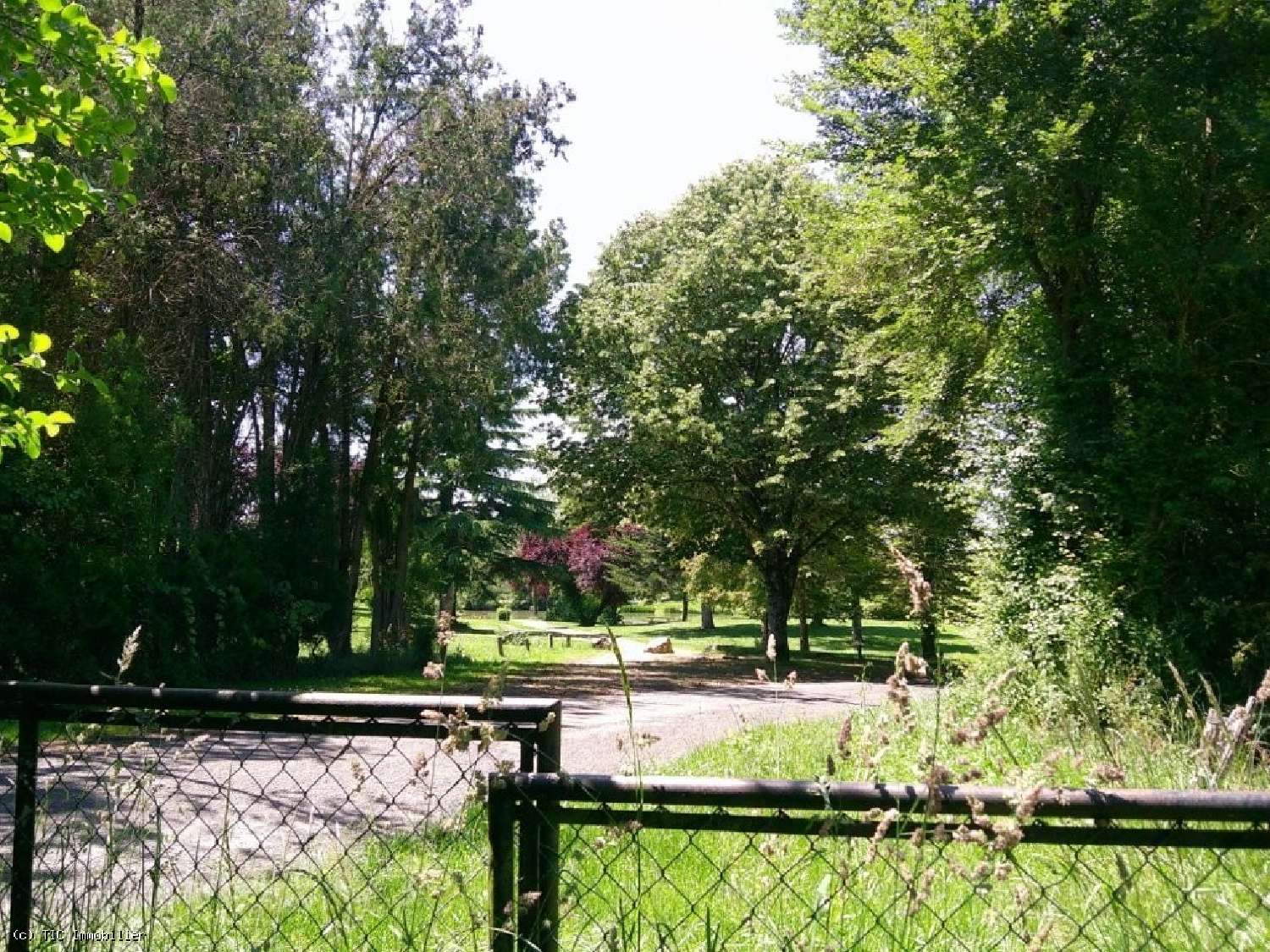 for sale house Availles-Limouzine Vienne 6