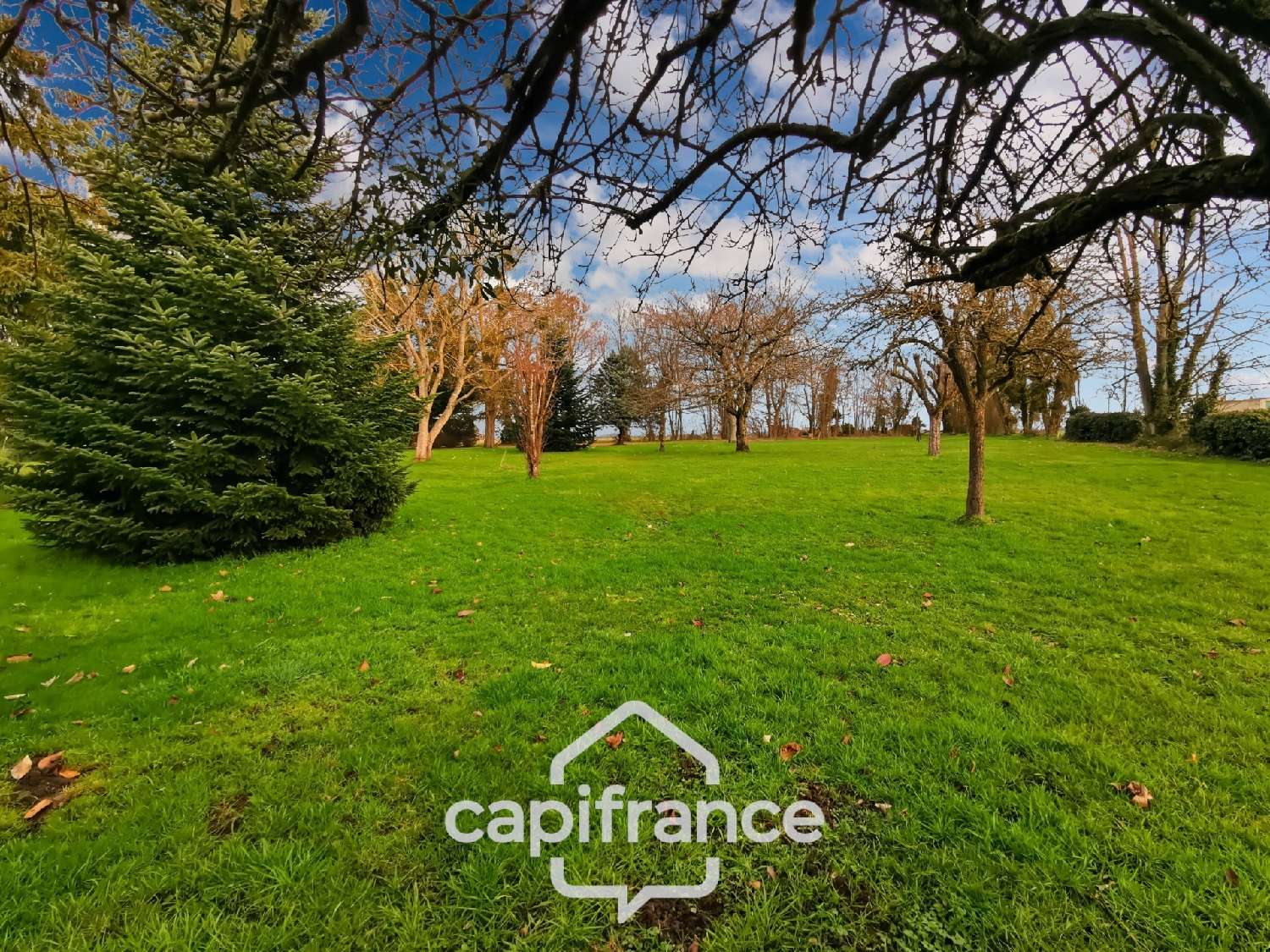 for sale house Beaune Côte-d'Or 3