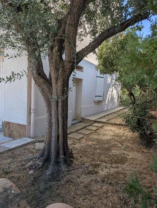 Béziers Hérault huis foto 7411160