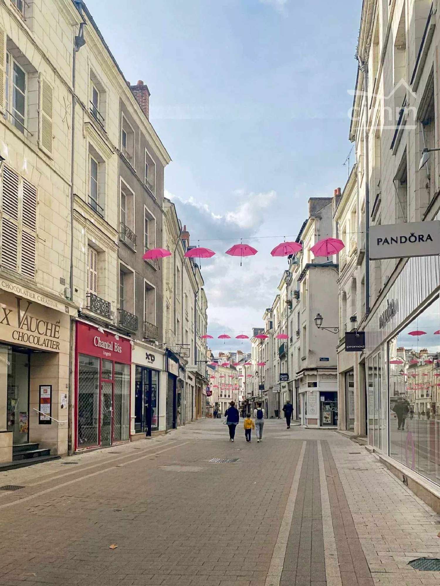 for sale house Blois Loir-et-Cher 6