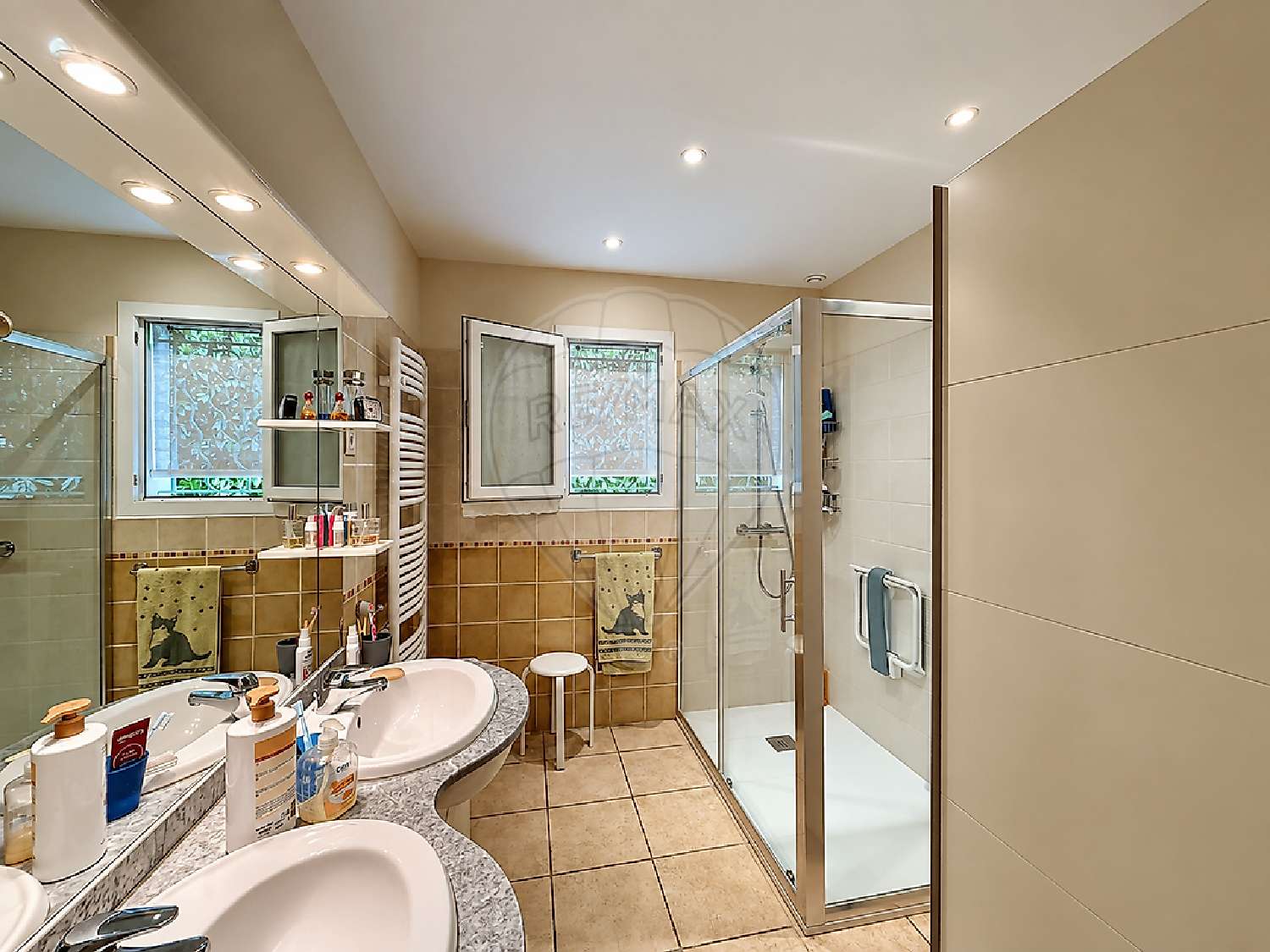 à vendre maison Boisset-et-Gaujac Gard 8