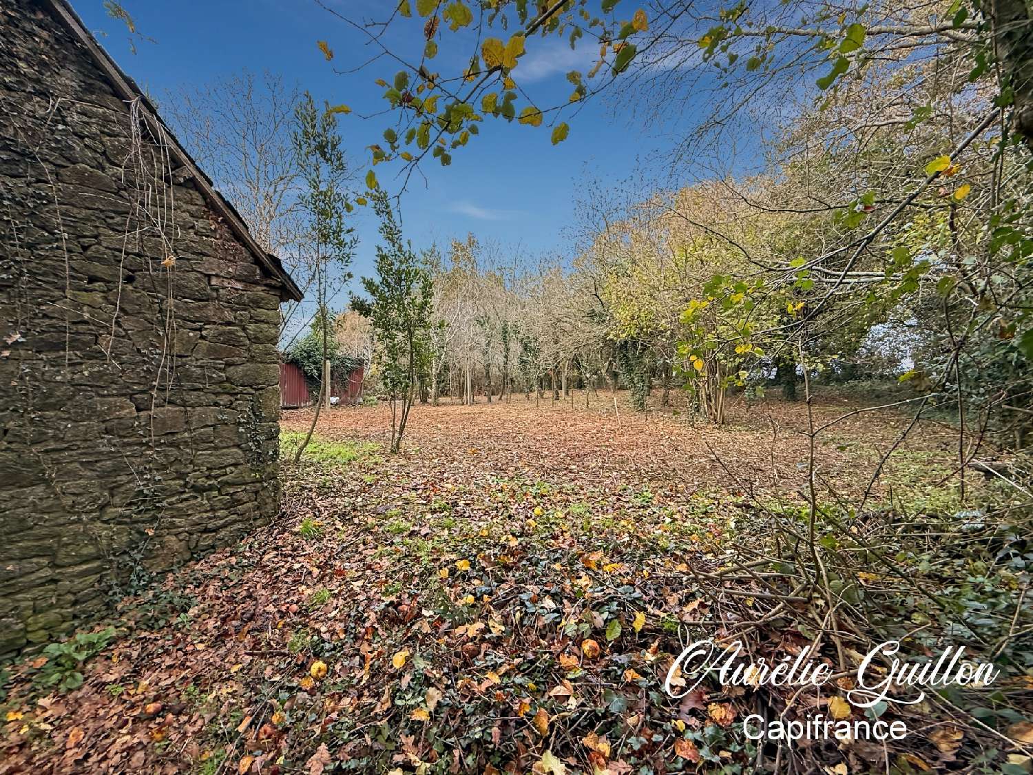  en venta casa Buléon Morbihan 3