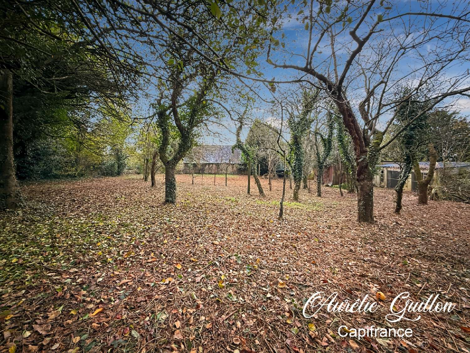  en venta casa Buléon Morbihan 7
